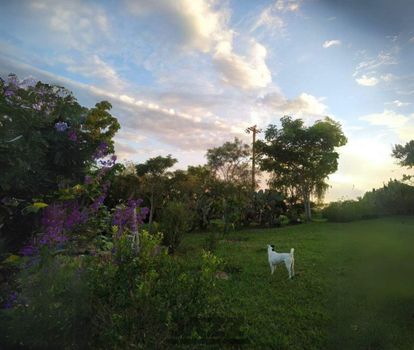 Foto 15 do(a) Fazenda / Sítio / Chácara de 3 quartos à venda em Nhô Quim, Piracicaba