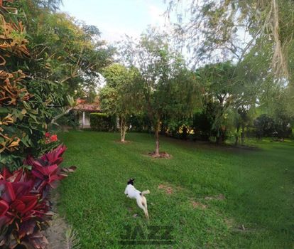 Foto 7 do(a) Fazenda / Sítio / Chácara de 3 quartos à venda em Nhô Quim, Piracicaba