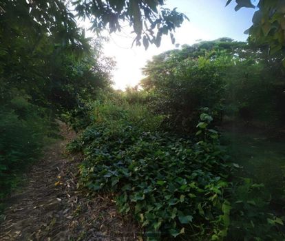 Foto 16 do(a) Fazenda / Sítio / Chácara de 3 quartos à venda em Nhô Quim, Piracicaba