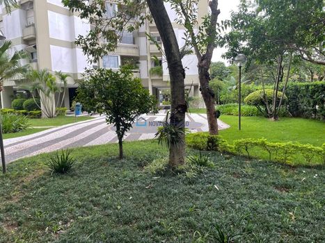 Foto 22 do(a) Apartamento de 3 quartos à venda em Mirandópolis, São Paulo