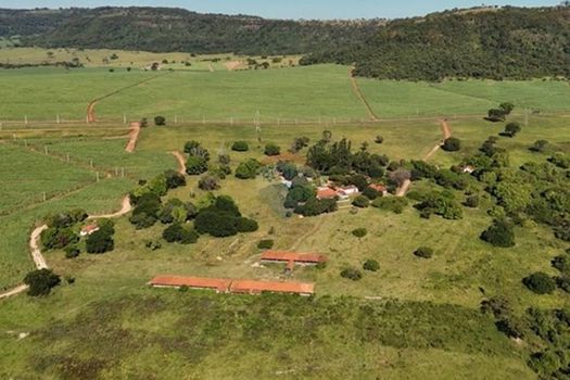 Foto 14 do(a) Fazenda / Sítio / Chácara de 7 quartos à venda em null, Rifaina