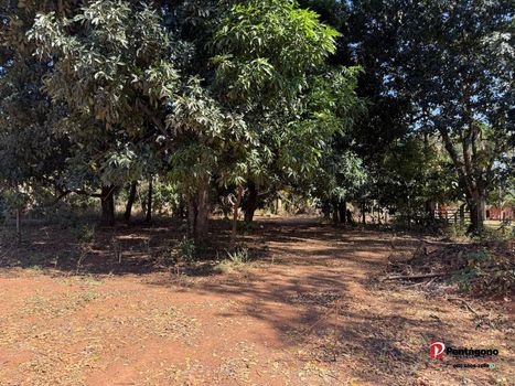 Foto 8 do(a) Fazenda / Sítio / Chácara de 3 quartos à venda em Chácaras São Pedro, Aparecida de Goiânia