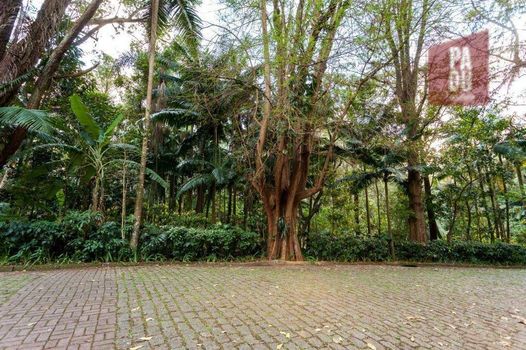 Foto 20 do(a) Casa de 5 quartos à venda em Chácara Flora, São Paulo