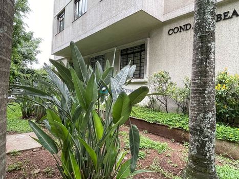 Foto 25 do(a) Apartamento de 2 quartos à venda em Vila Clementino, São Paulo