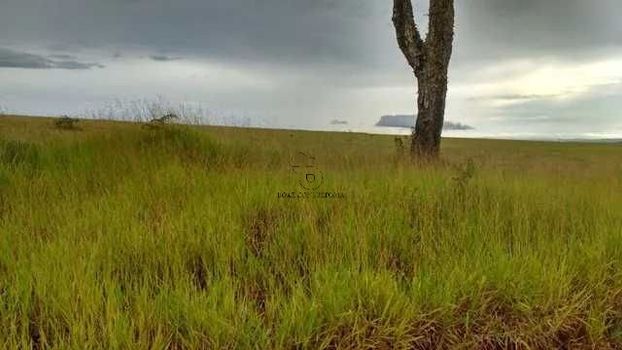 Foto 3 do(a) Fazenda / Sítio / Chácara de 2 quartos à venda em null, Piedade