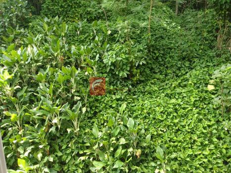 Foto 29 do(a) Apartamento de 4 quartos à venda em Cosme Velho, Rio de Janeiro