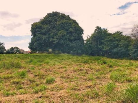Foto 1 do(a) Terreno false à venda em Jardim Caviúna, Rolândia