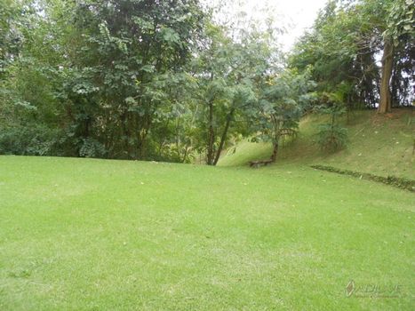 Foto 10 do(a) Casa em Condomínio de 4 quartos à venda em Pedro do Rio, Petrópolis