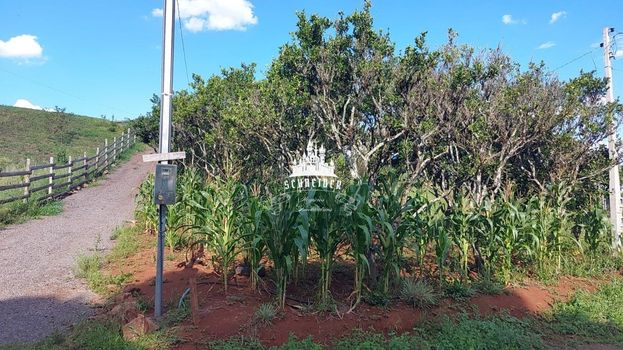 Foto 1 do(a) Fazenda / Sítio / Chácara de 2 quartos à venda em null, Antônio Prado