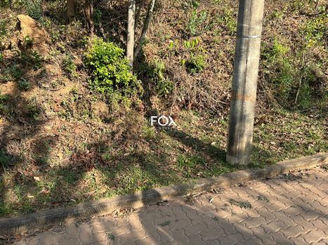 Foto 3 do(a) Terreno false à venda em Pasárgada, Nova Lima