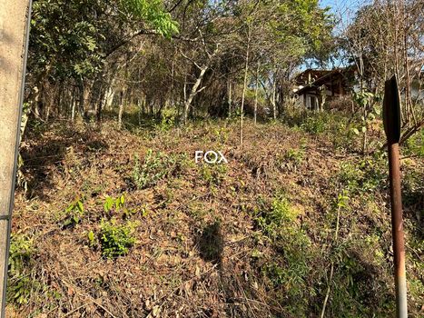 Foto 4 do(a) Terreno false à venda em Pasárgada, Nova Lima