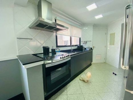 Foto 37 do(a) Cobertura de 5 quartos à venda em Jardim Vila Mariana, São Paulo
