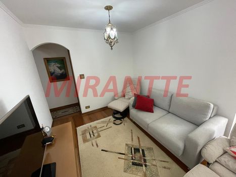 Foto 2 do(a) Apartamento de 3 quartos à venda em Vila Paulicéia, São Paulo