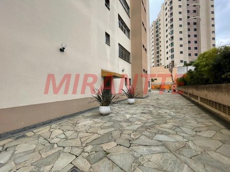 Foto 45 do(a) Apartamento de 3 quartos à venda em Vila Paulicéia, São Paulo