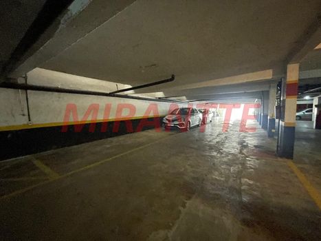 Foto 49 do(a) Apartamento de 3 quartos à venda em Vila Paulicéia, São Paulo
