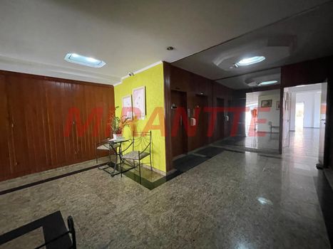 Foto 38 do(a) Apartamento de 3 quartos à venda em Vila Paulicéia, São Paulo
