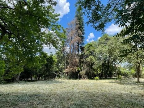 Foto 2 do(a) Terreno false à venda em Vale Verde, Valinhos