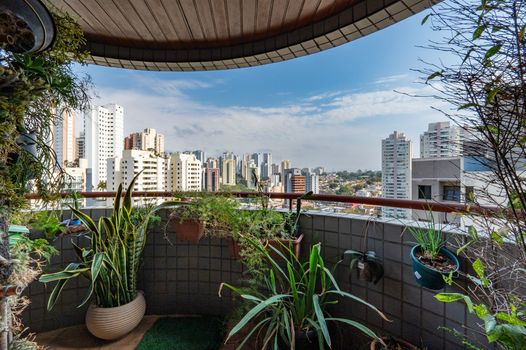 Foto 21 do(a) Apartamento de 3 quartos à venda em Lar São Paulo, São Paulo