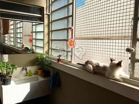 Foto 19 do(a) Apartamento de 1 quartos à venda em Perdizes, São Paulo
