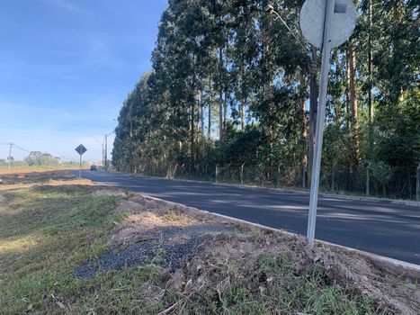 Foto 3 do(a) Terreno false à venda em Campo Largo da Roseira, São José dos Pinhais