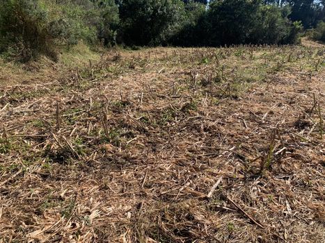 Foto 6 do(a) Terreno false à venda em Campo Largo da Roseira, São José dos Pinhais