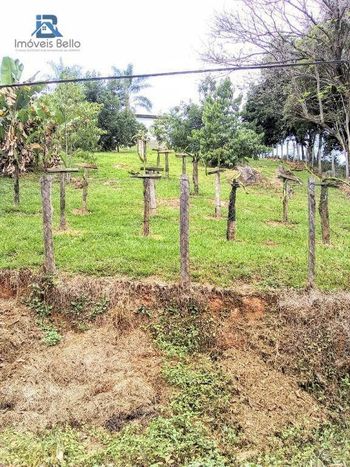 Foto 18 do(a) Fazenda / Sítio / Chácara de 5 quartos à venda em Área Rural de Itapira, Itapira