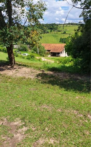 Foto 3 do(a) Fazenda / Sítio / Chácara de 4 quartos à venda em Área Rural de Itapeva, Itapeva