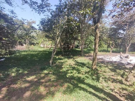 Foto 40 do(a) Fazenda / Sítio / Chácara de 4 quartos à venda em Bom Jardim II, Guaratinguetá