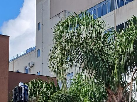 Foto 47 do(a) Cobertura de 3 quartos à venda em Capoeiras, Florianópolis