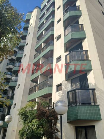 Foto 35 do(a) Apartamento de 3 quartos à venda em Vila Primavera, São Paulo
