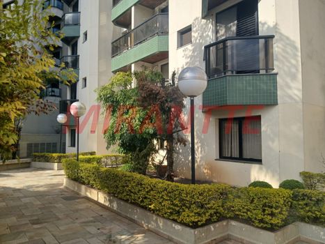 Foto 34 do(a) Apartamento de 3 quartos à venda em Vila Primavera, São Paulo