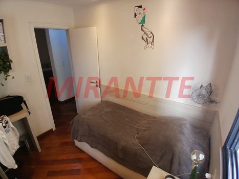 Foto 20 do(a) Apartamento de 3 quartos à venda em Vila Primavera, São Paulo