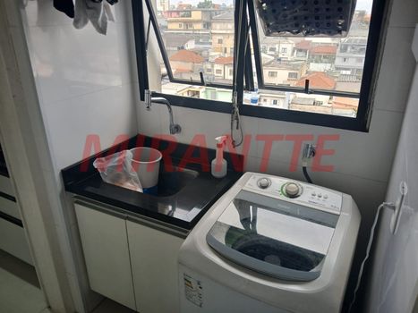 Foto 15 do(a) Apartamento de 3 quartos à venda em Vila Primavera, São Paulo
