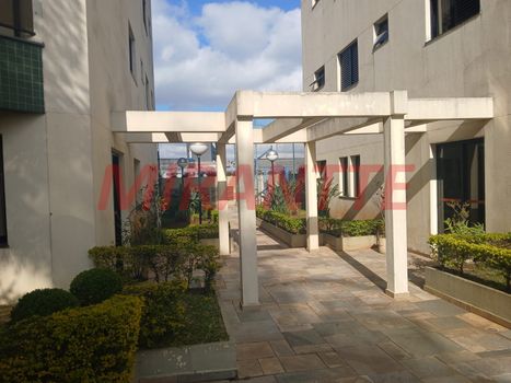 Foto 41 do(a) Apartamento de 3 quartos à venda em Vila Primavera, São Paulo