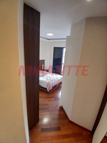 Foto 16 do(a) Apartamento de 3 quartos à venda em Vila Primavera, São Paulo