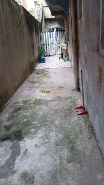 Foto 11 do(a) Casa de 4 quartos à venda em Jardim São Francisco, Embu das Artes