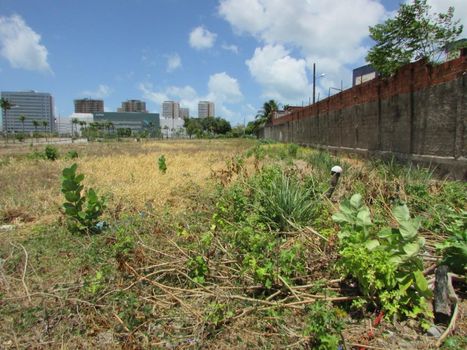 Foto 7 do(a) Terreno false à venda em São Gerardo, Fortaleza