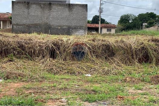 Foto 16 do(a) Terreno false à venda em null, Capela do Alto