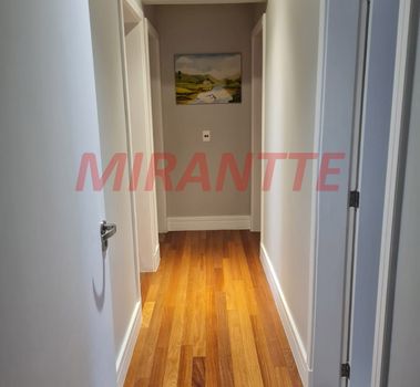 Foto 8 do(a) Apartamento de 3 quartos à venda em Vila Paulicéia, São Paulo
