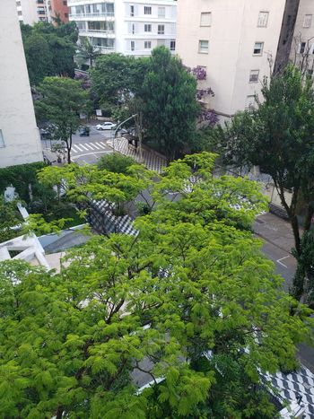 Foto 12 do(a) Apartamento de 4 quartos à venda em Higienópolis, São Paulo
