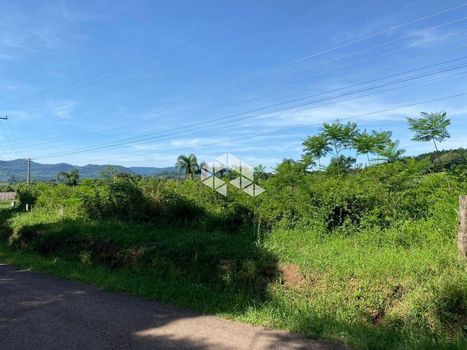 Foto 17 do(a) Fazenda / Sítio / Chácara false à venda em null, Presidente Lucena