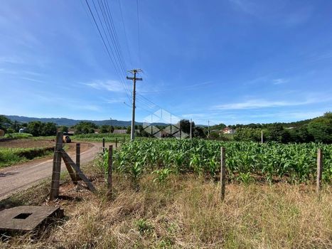 Foto 1 do(a) Fazenda / Sítio / Chácara false à venda em null, Presidente Lucena