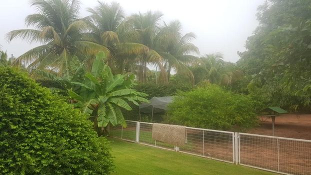 Foto 6 do(a) Fazenda / Sítio / Chácara de 2 quartos à venda em Condomínio Chácaras Villa Verde, Birigüi