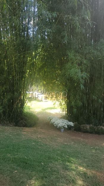 Foto 15 do(a) Fazenda / Sítio / Chácara false para alugar em Sousas, Campinas