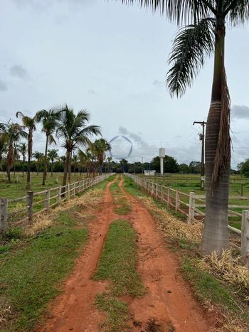 Foto 1 do(a) Fazenda / Sítio / Chácara false à venda em null, Jaraguari