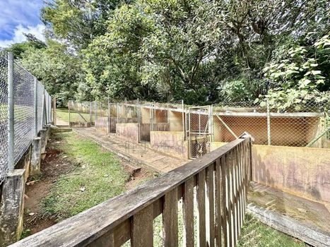 Foto 10 do(a) Fazenda / Sítio / Chácara de 3 quartos à venda em Jardim do Rio Cotia, Cotia