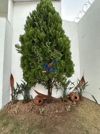 Foto 30 do(a) Casa em Condomínio de 4 quartos à venda em Vale das Amendoeiras, Contagem