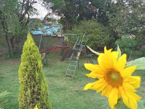 Foto 8 do(a) Fazenda / Sítio / Chácara de 2 quartos à venda em Chácara Alvorada, Indaiatuba