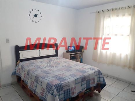Foto 4 do(a) Galpão / Depósito / Armazém / Pavilhão false à venda em Vila Nova Cachoeirinha, São Paulo