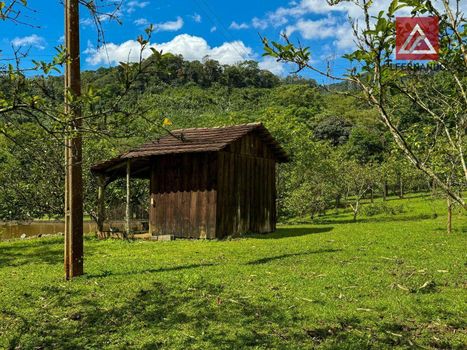 Foto 33 do(a) Fazenda / Sítio / Chácara de 4 quartos à venda em Itoupava Central, Blumenau